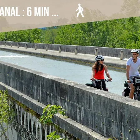 Apartment L'alcove Doree - - Melina & Alfred